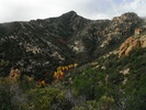 photo thumbnail #15