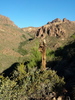 photo thumbnail #1