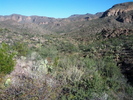 photo thumbnail #6