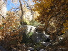 photo thumbnail #11