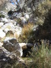 photo thumbnail #13