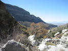 photo thumbnail #15