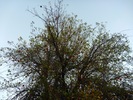 photo thumbnail #15