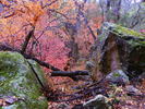 photo thumbnail #7