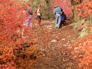photo thumbnail #11