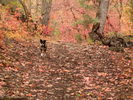 photo thumbnail #12