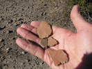 photo thumbnail #5
