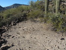 photo thumbnail #6