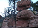 photo thumbnail #10