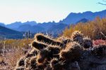 photo thumbnail #5
