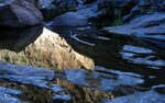 photo thumbnail #13