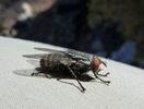 photo thumbnail #14