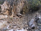 photo thumbnail #7