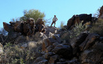 photo thumbnail #8