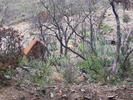 photo thumbnail #3