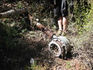 photo thumbnail #5