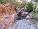 photo thumbnail #4