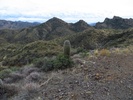 photo thumbnail #7