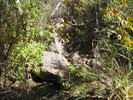 photo thumbnail #7