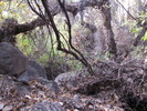 photo thumbnail #8