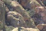 photo thumbnail #1