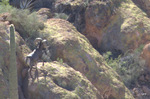 photo thumbnail #2
