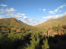 photo thumbnail #1