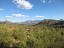 photo thumbnail #2