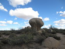 photo thumbnail #10