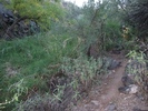 photo thumbnail #4