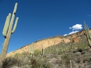 photo thumbnail #10