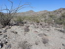 photo thumbnail #4