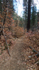 photo thumbnail #13