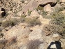 photo thumbnail #14