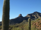 photo thumbnail #10