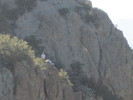 photo thumbnail #11