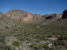 photo thumbnail #11