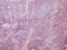 photo thumbnail #15