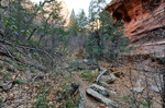 photo thumbnail #8