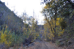 photo thumbnail #11