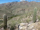 photo thumbnail #3