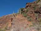 photo thumbnail #13