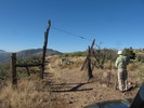 photo thumbnail #3