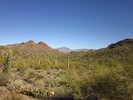 photo thumbnail #5