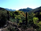 photo thumbnail #7