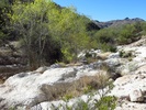 photo thumbnail #2