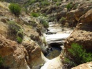 photo thumbnail #10