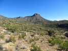 photo thumbnail #11