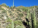photo thumbnail #1