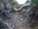 photo thumbnail #2